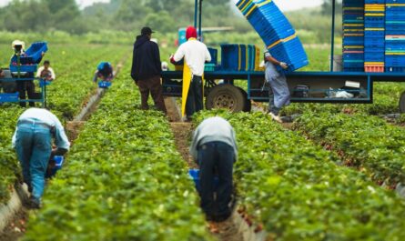 Best Farm Hand Jobs