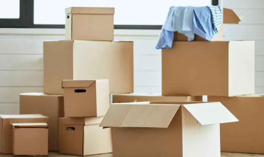 My Entitled Roommate Ditched Rent for Her Boyfriend, Left Her Stuff, and Ghosted Me – So I Made My Own Plans